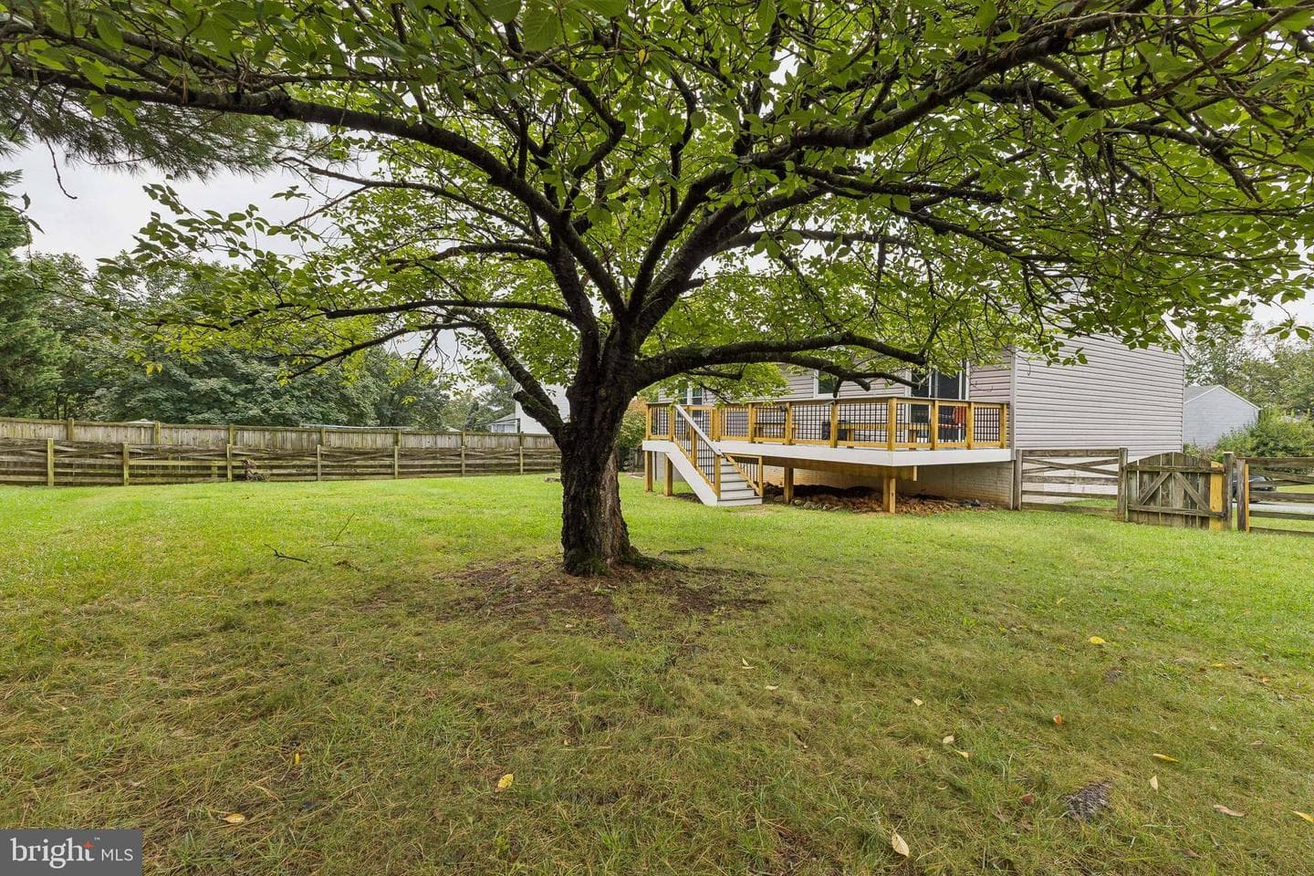 105 Albany Avenue E photo 9