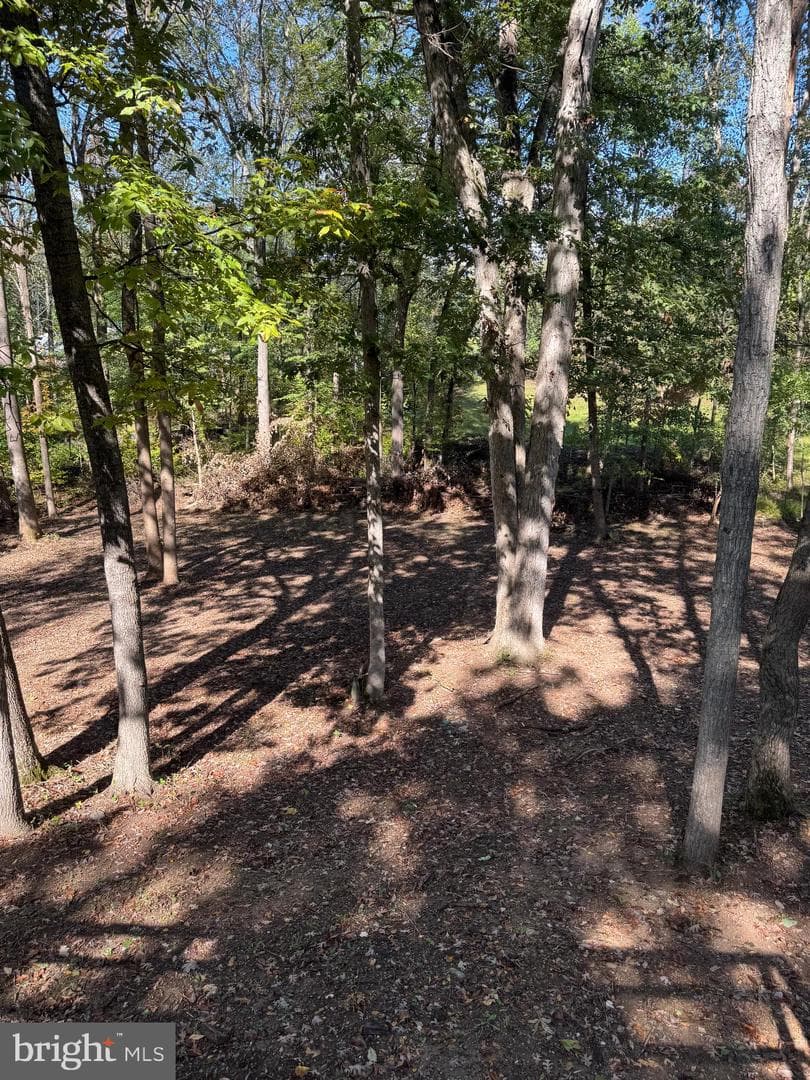 2032 Fire Tower Lane photo 31