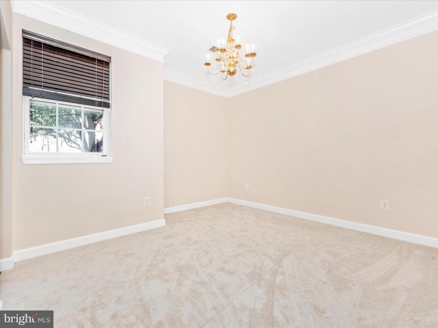 6503 Montalto Xing Crossing #a photo 20