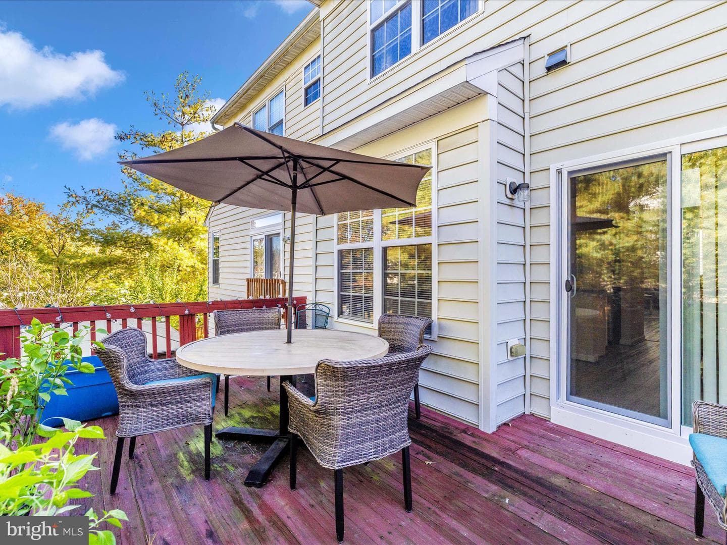 1003 Lavenport Way photo 19
