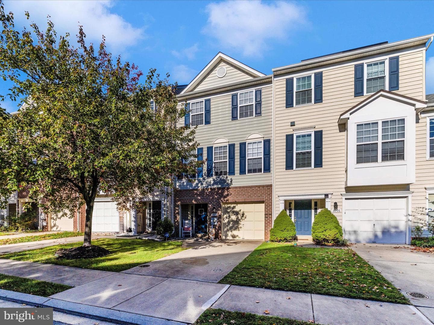 1003 Lavenport Way photo 42