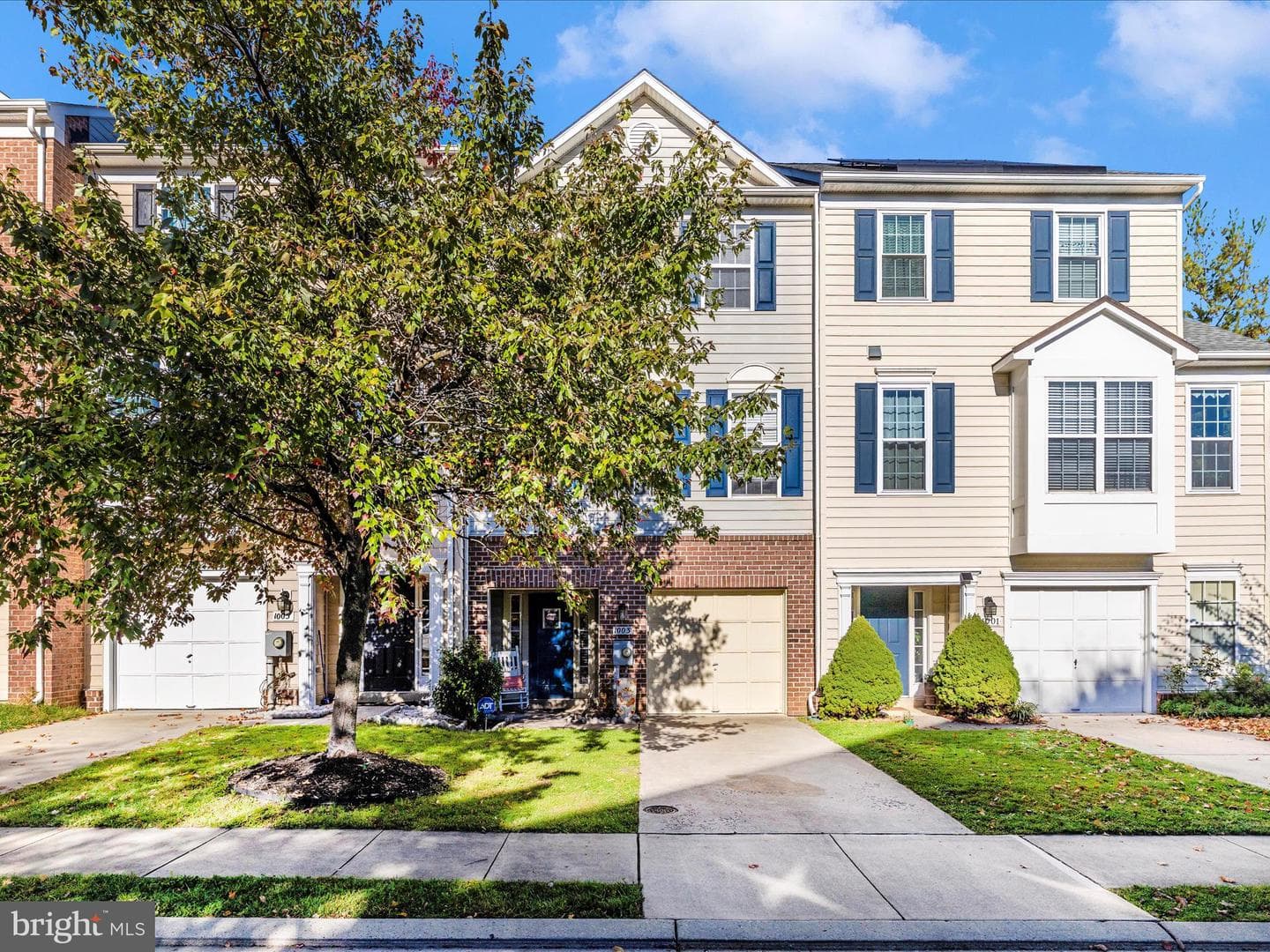 1003 Lavenport Way photo 44