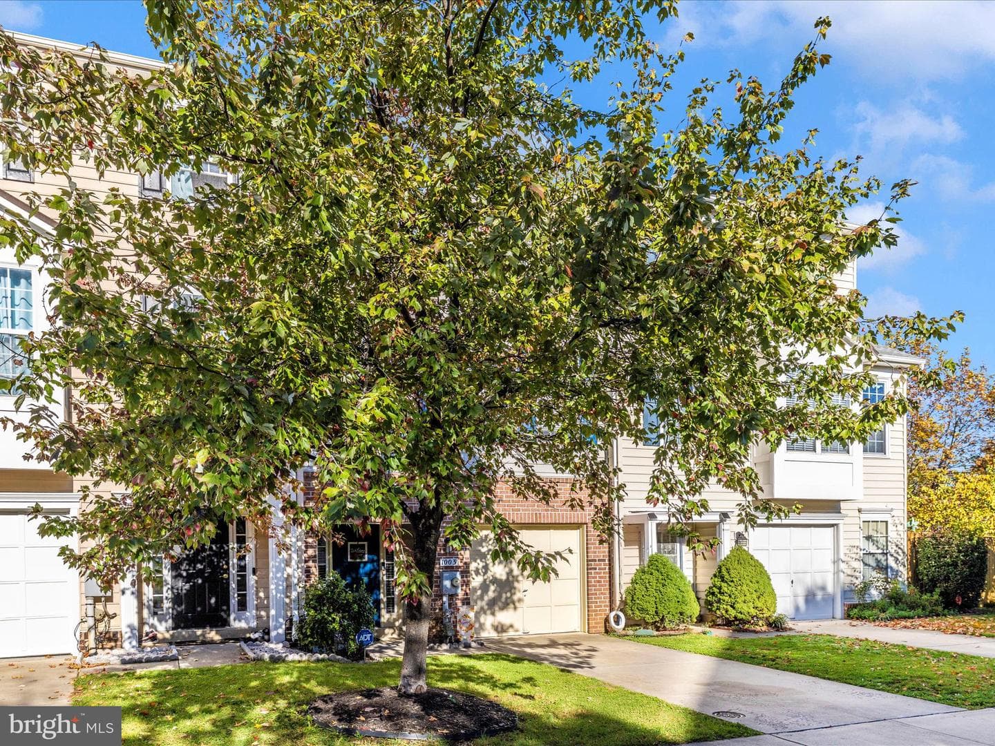 1003 Lavenport Way photo 46