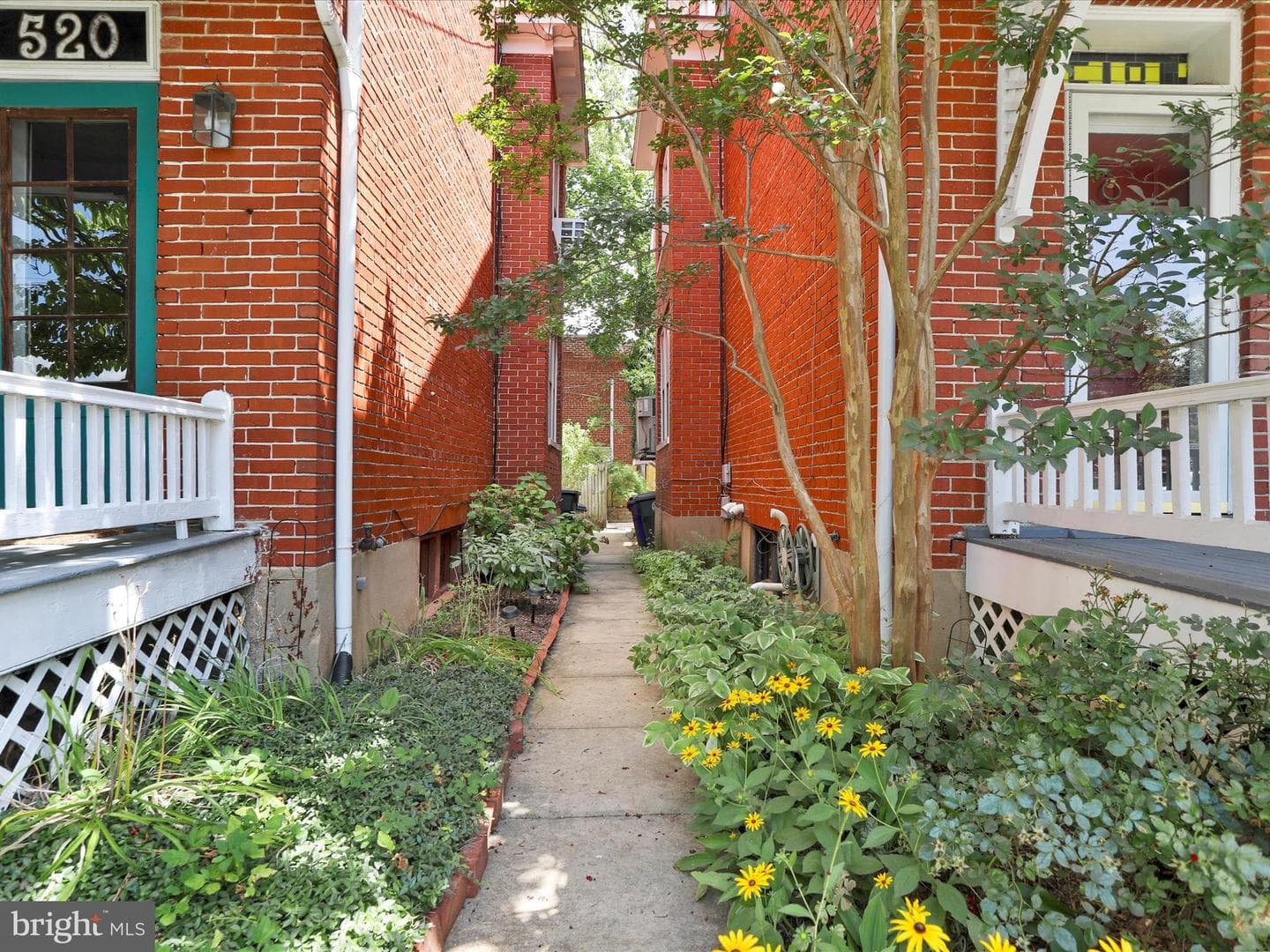 518 Elm Street photo 35
