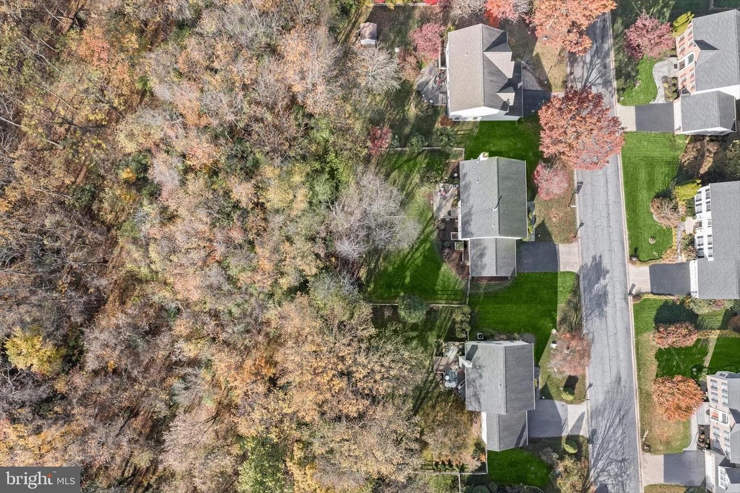 11207 Bramblewood Court photo 59