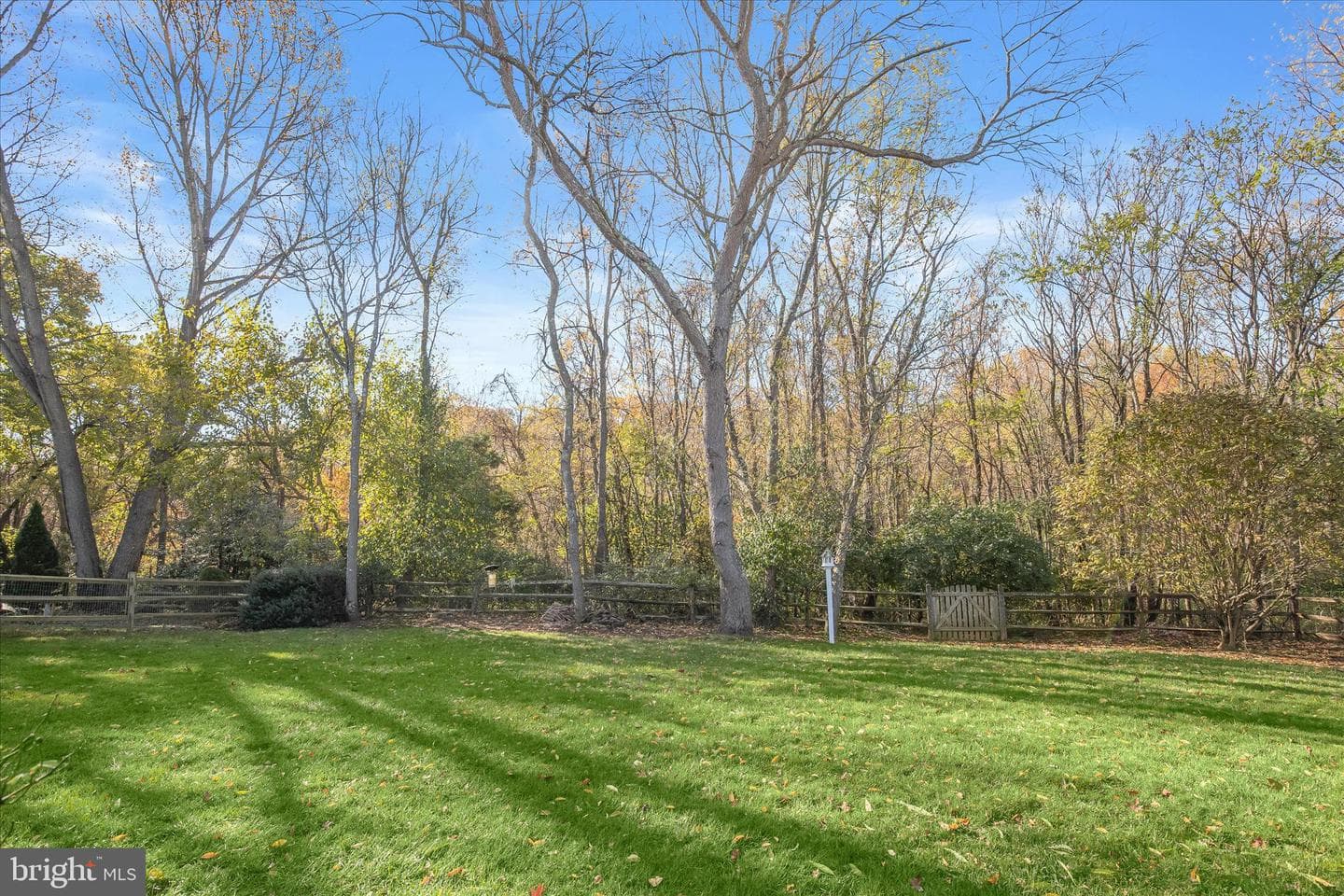 11207 Bramblewood Court photo 67