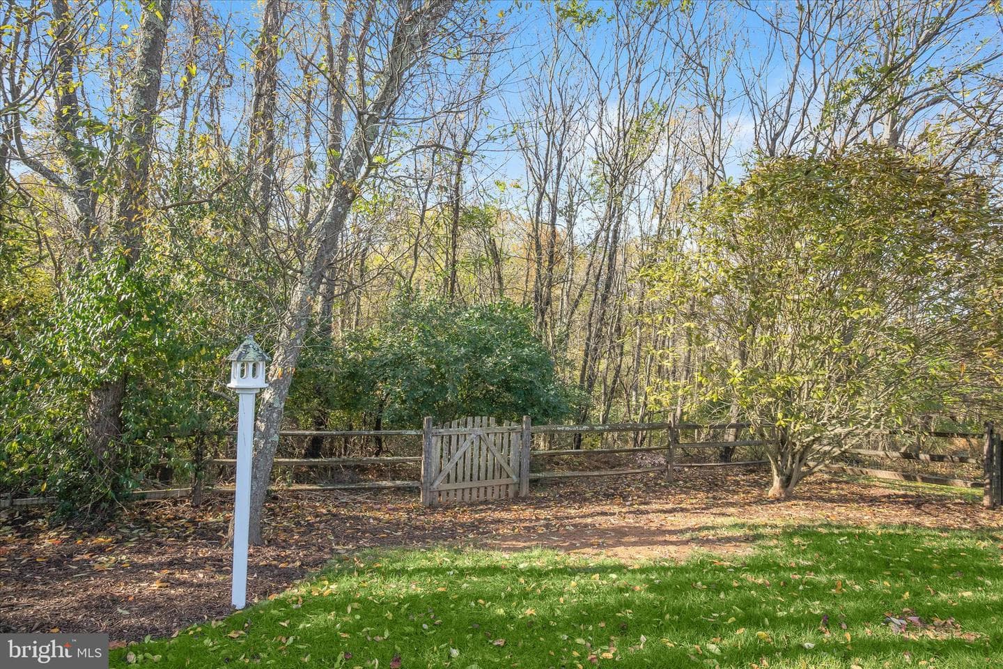 11207 Bramblewood Court photo 75