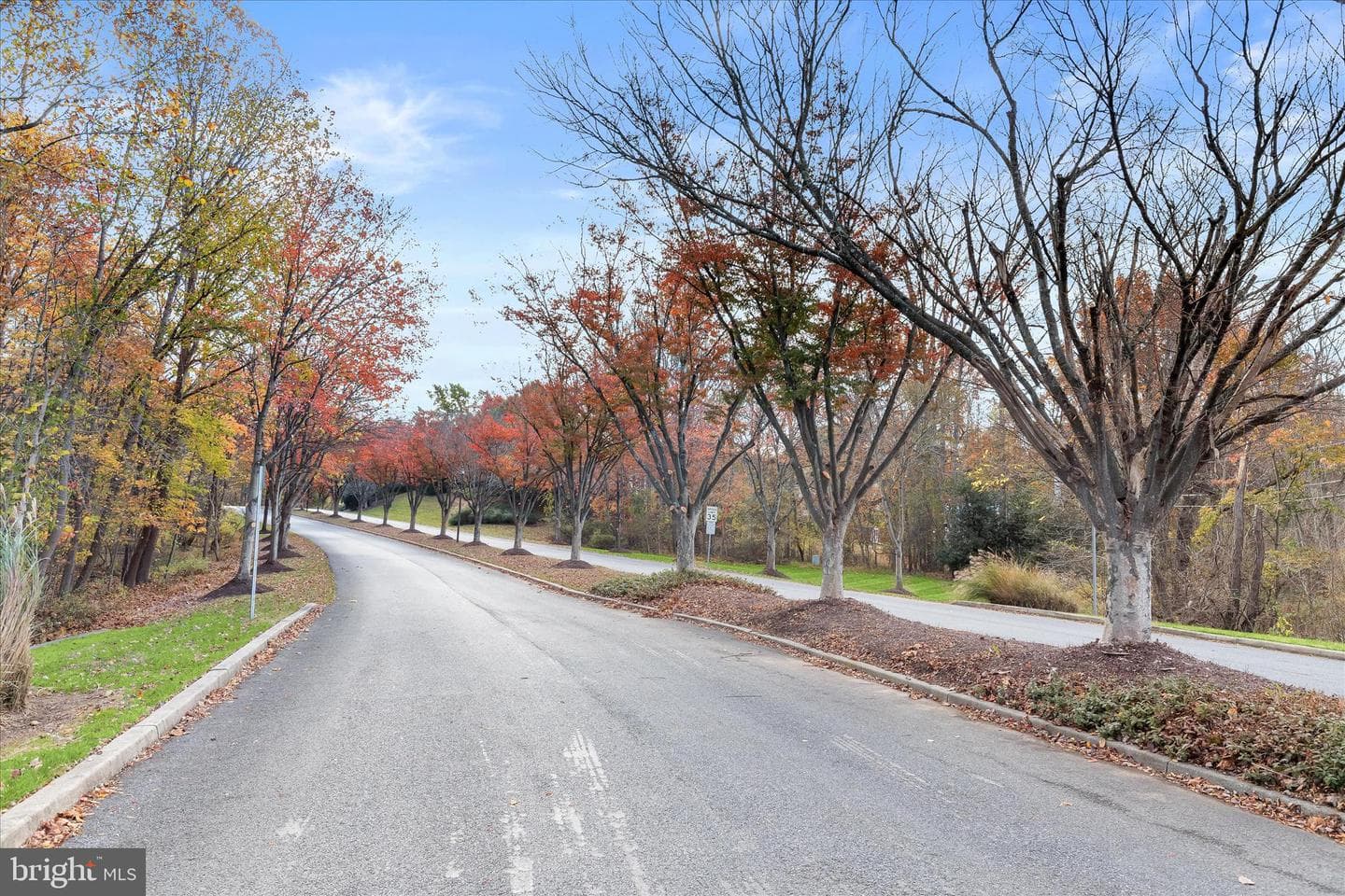 11207 Bramblewood Court photo 76