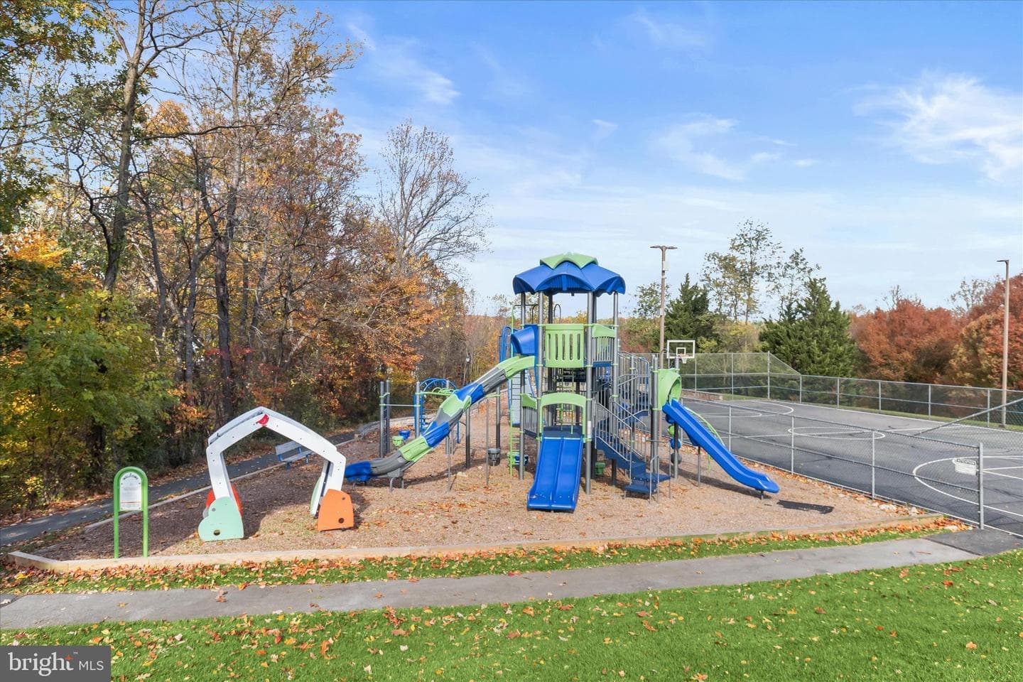 11207 Bramblewood Court photo 83