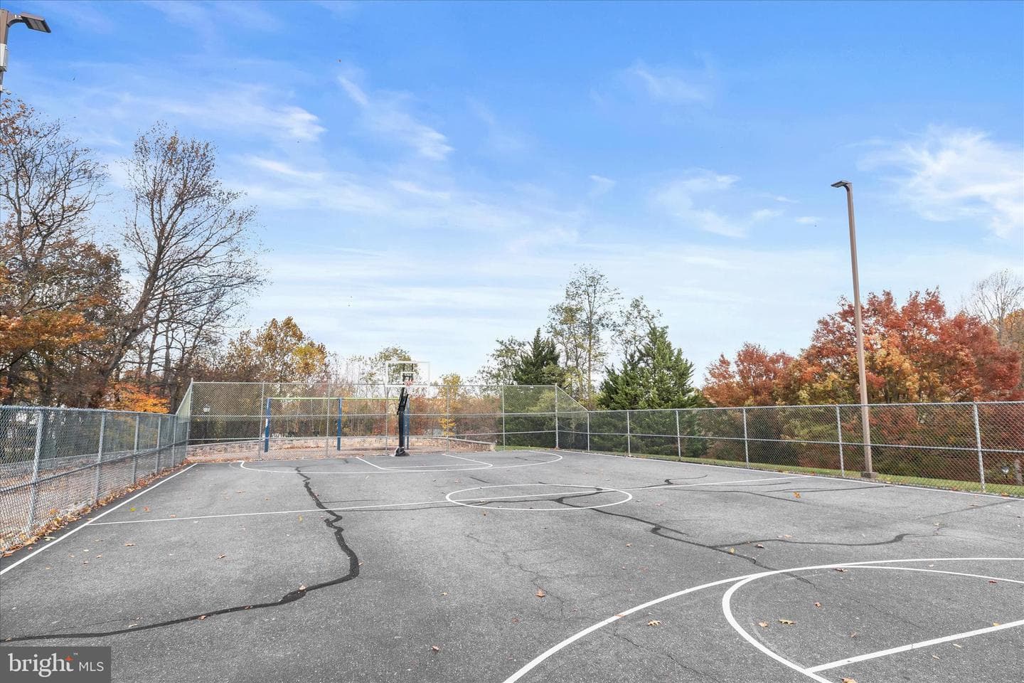 11207 Bramblewood Court photo 86