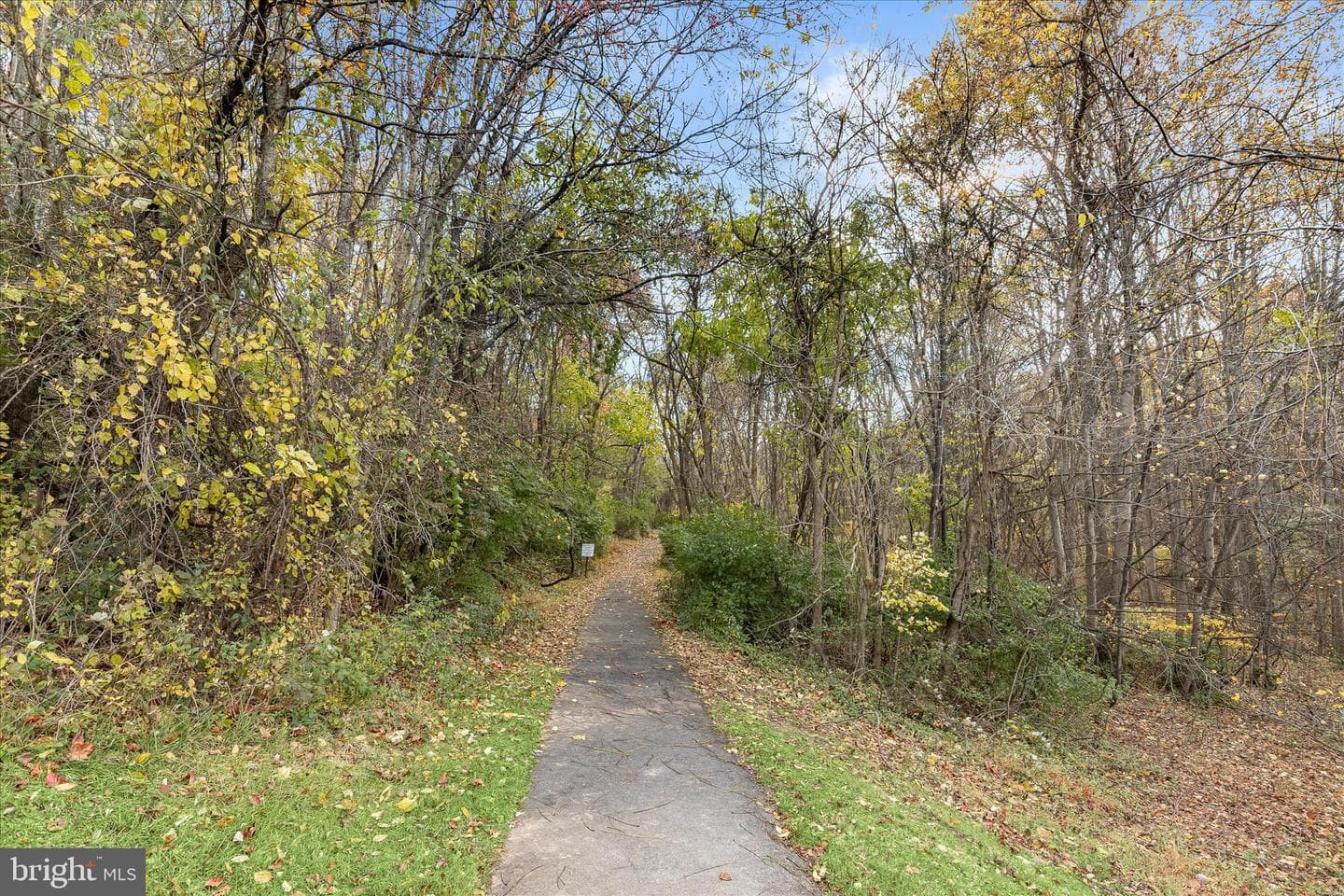 11207 Bramblewood Court photo 87