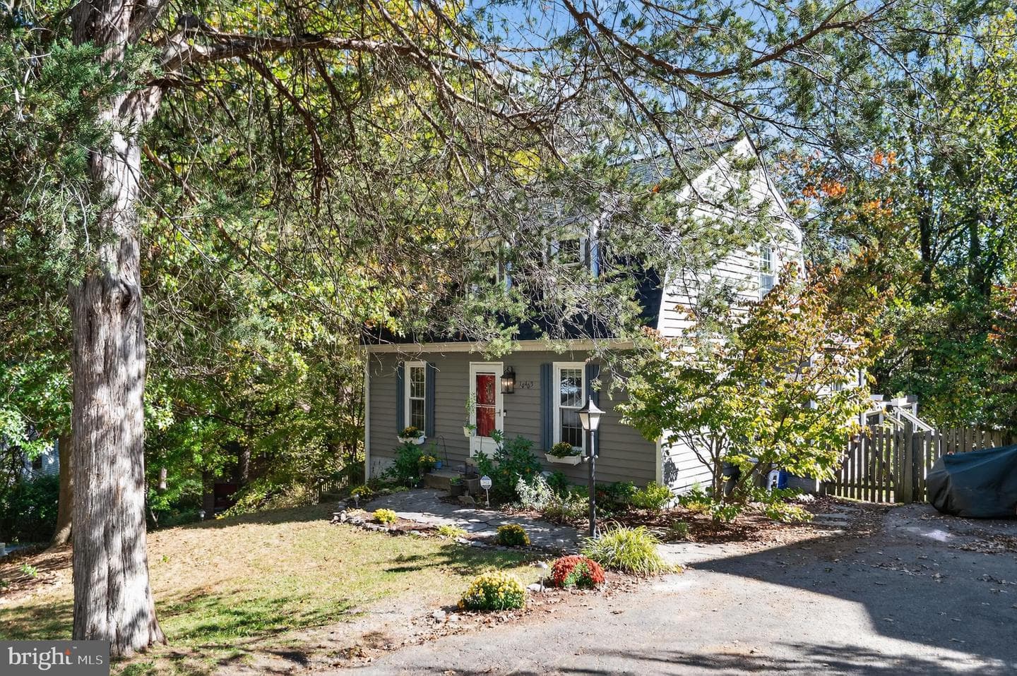 10403 Hedgeapple Court photo 1