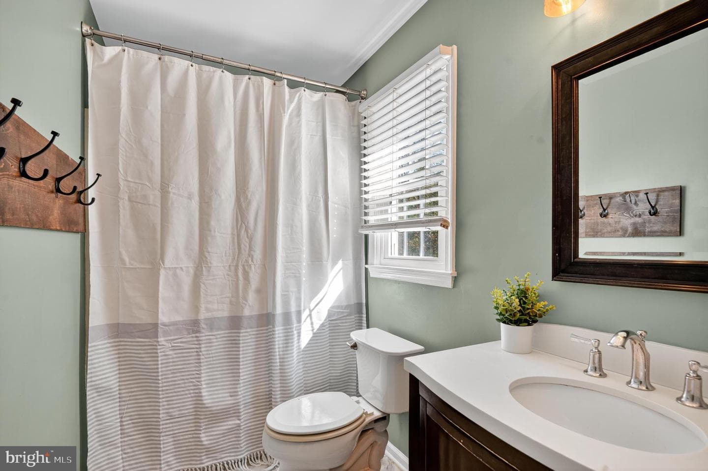 10403 Hedgeapple Court photo 10