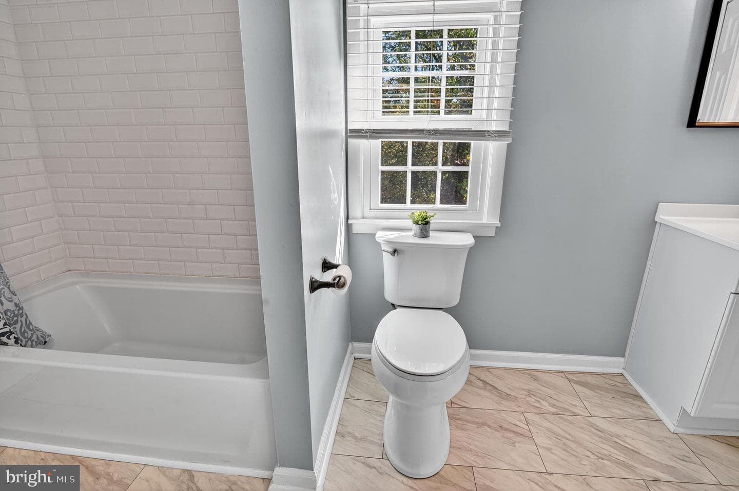 10403 Hedgeapple Court photo 14