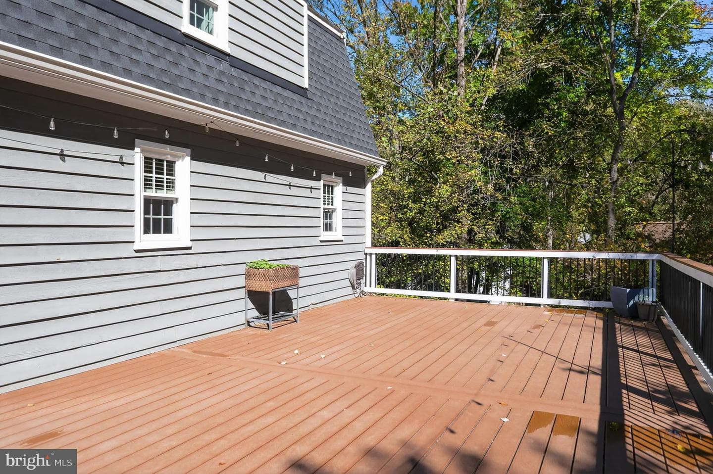10403 Hedgeapple Court photo 28