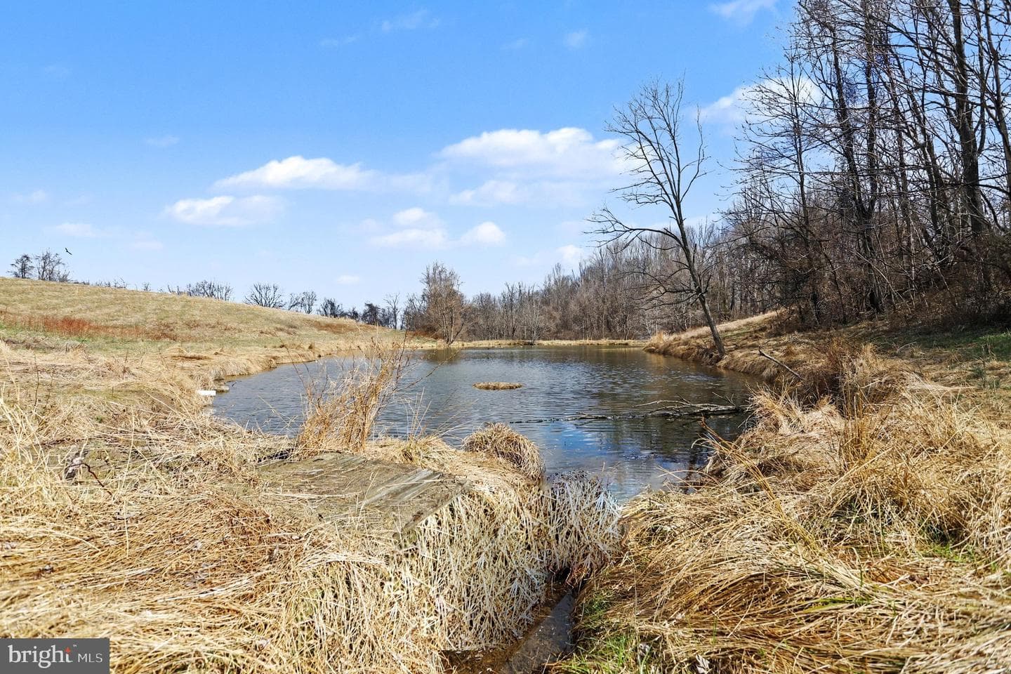 10301 McKinstry Mill Road photo 22