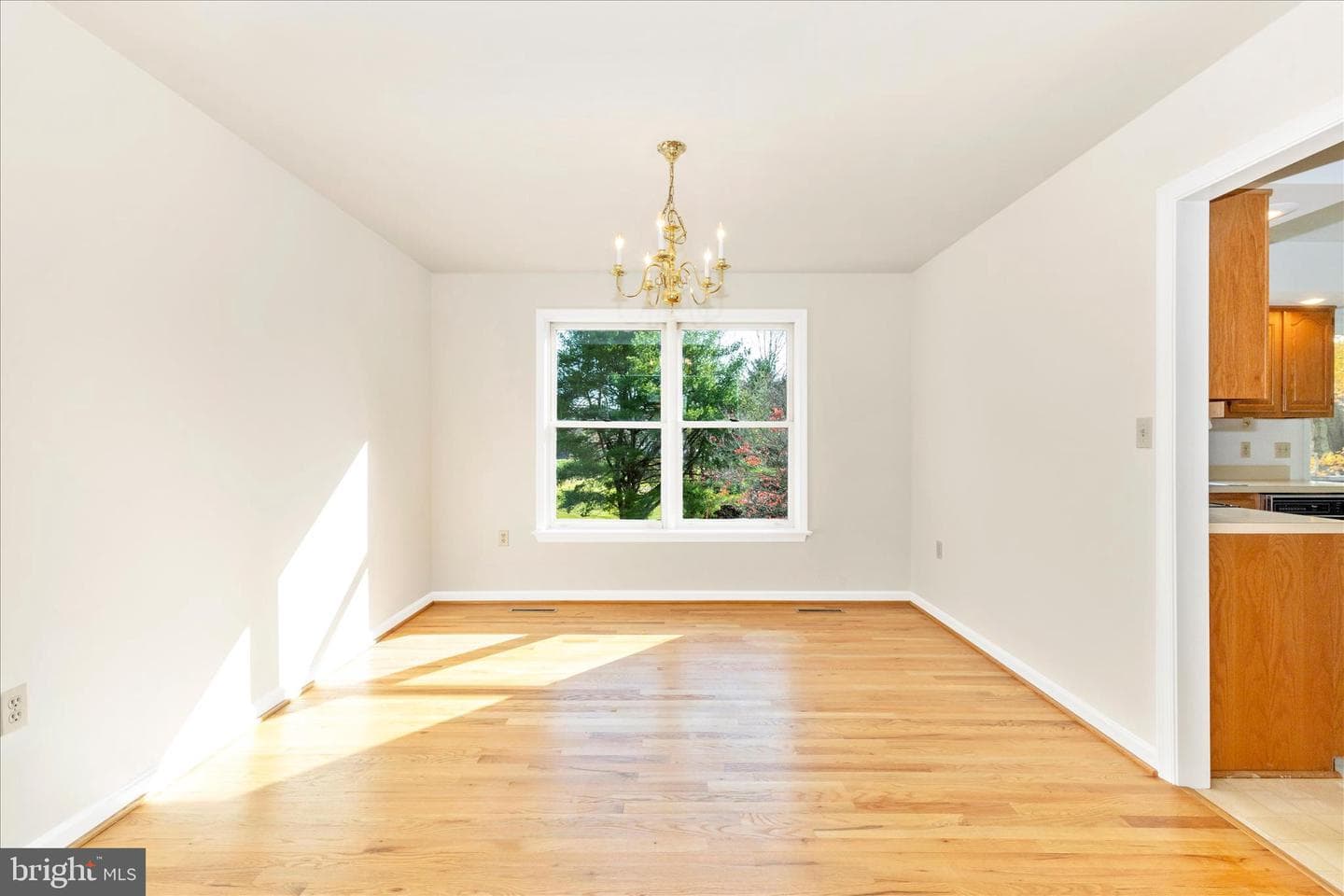 10255 Rollingridge Court photo 11