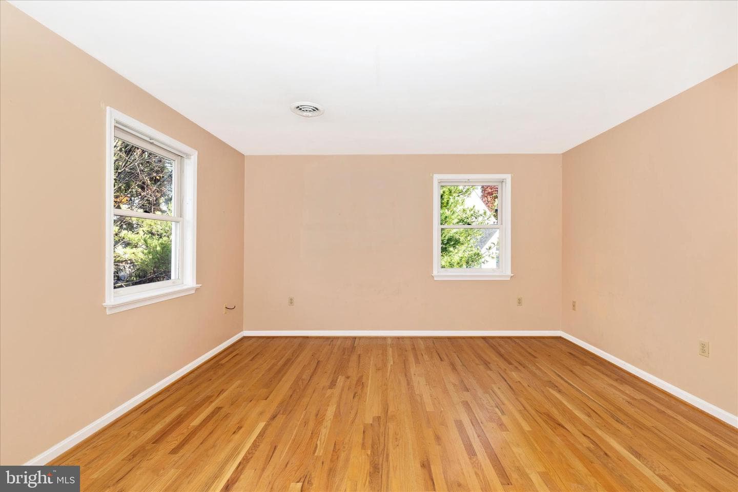 10255 Rollingridge Court photo 28