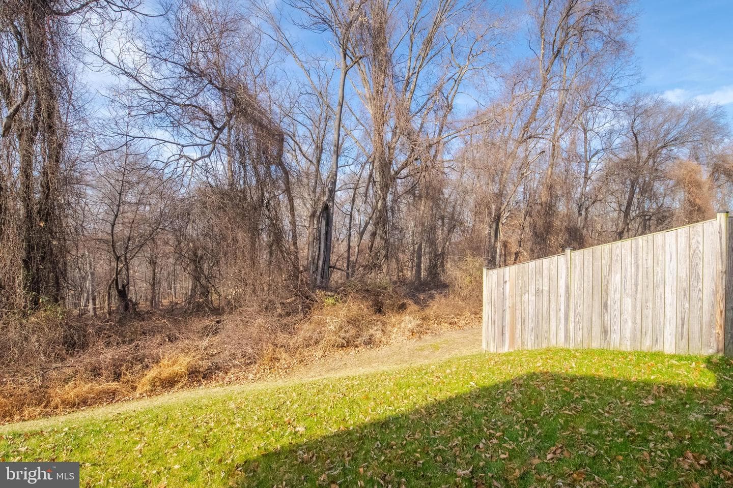 5604 Scott Ridge Place photo 49