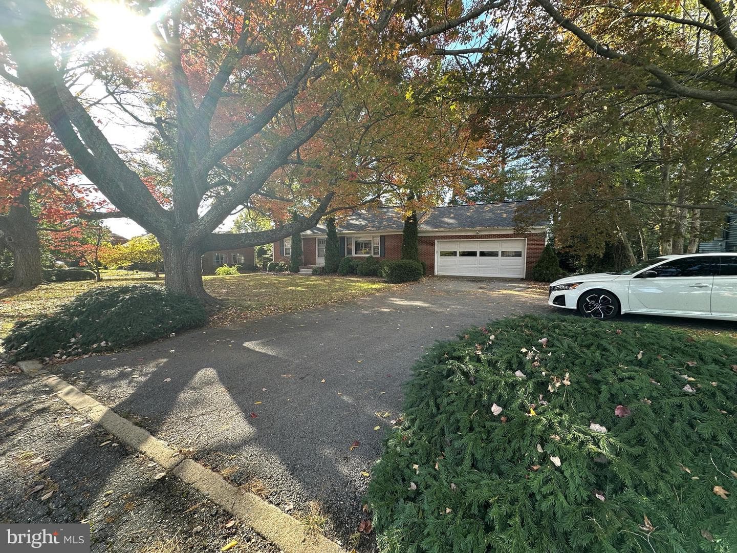 10 Linden Boulevard photo 11