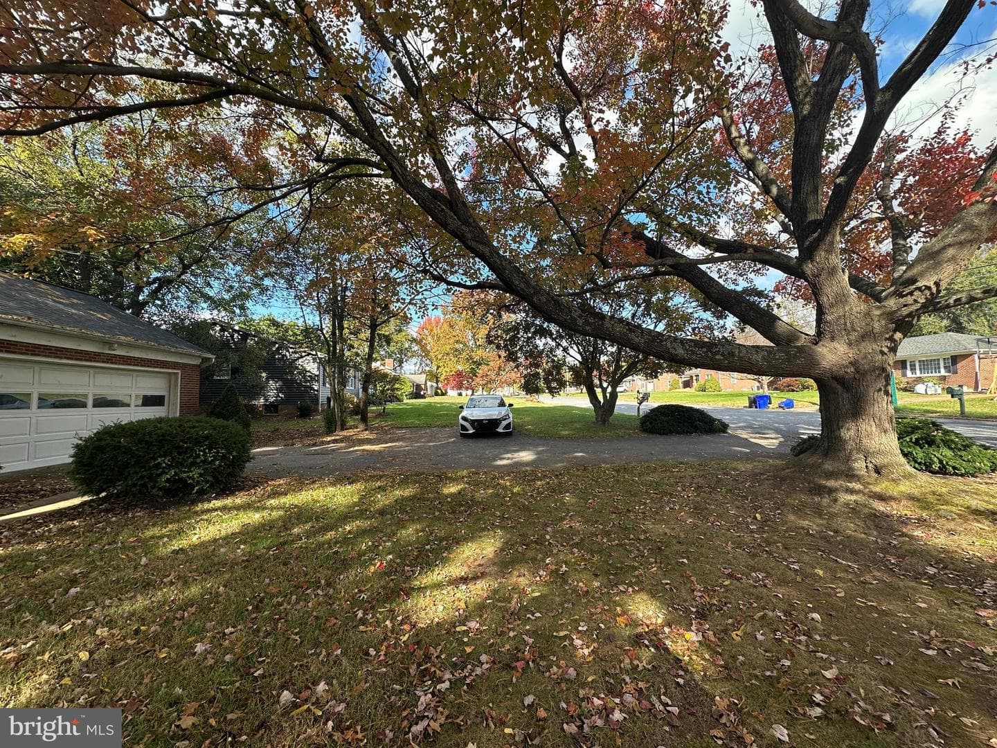 10 Linden Boulevard photo 15