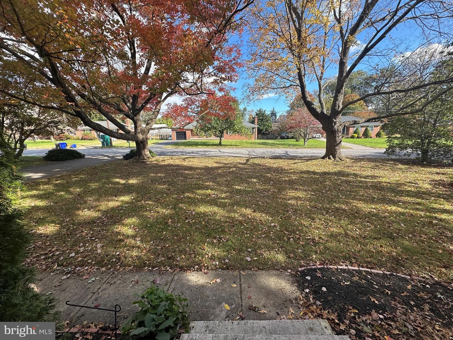 10 Linden Boulevard photo 16