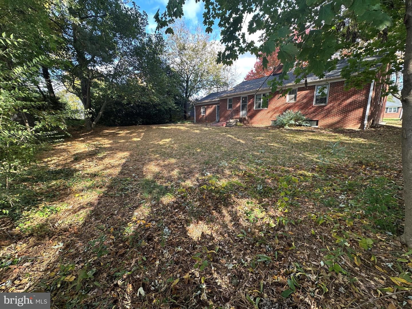 10 Linden Boulevard photo 18