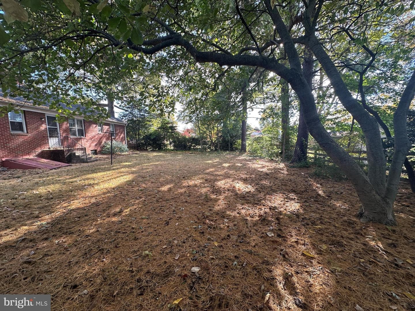 10 Linden Boulevard photo 19