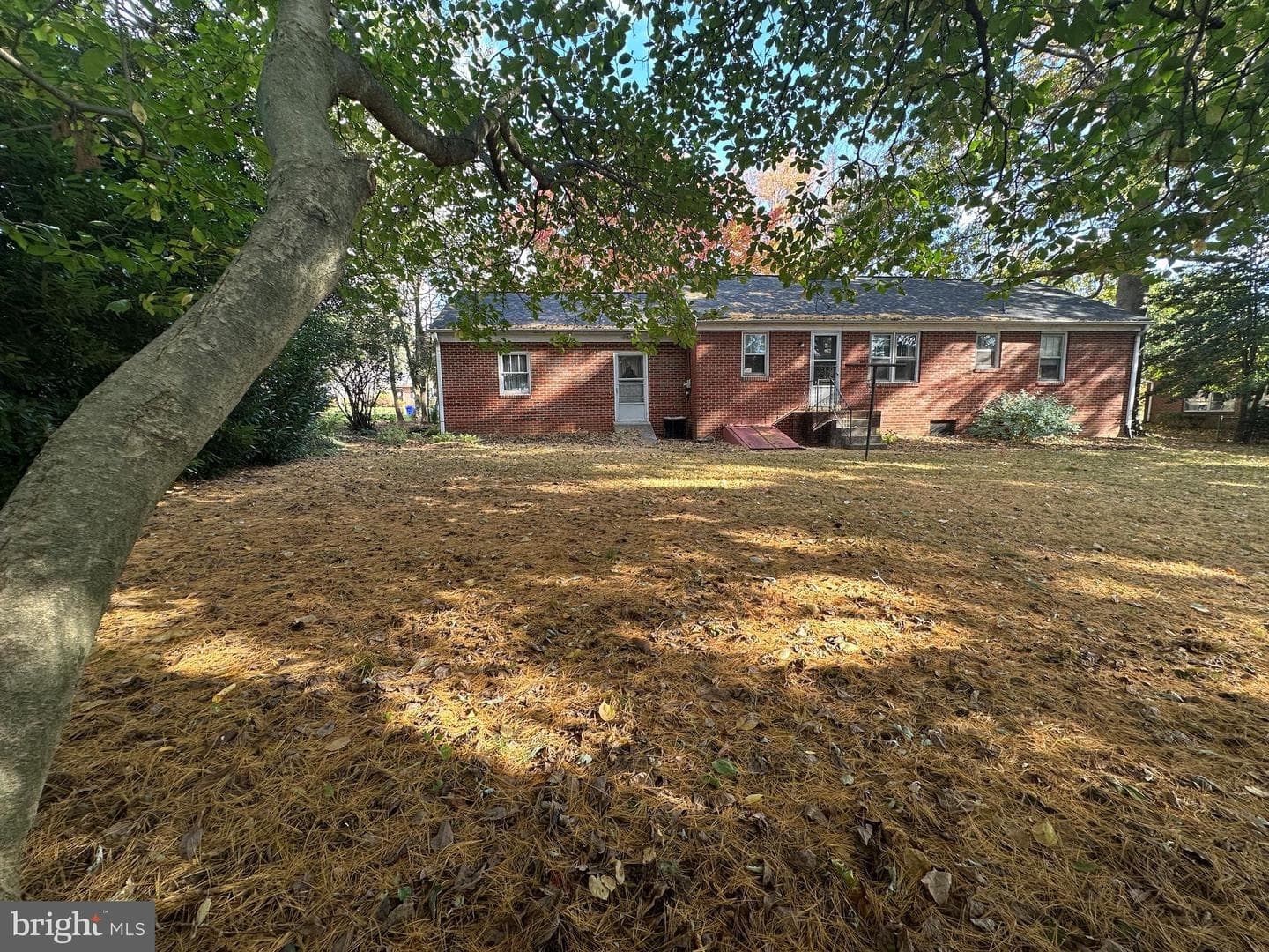 10 Linden Boulevard photo 20
