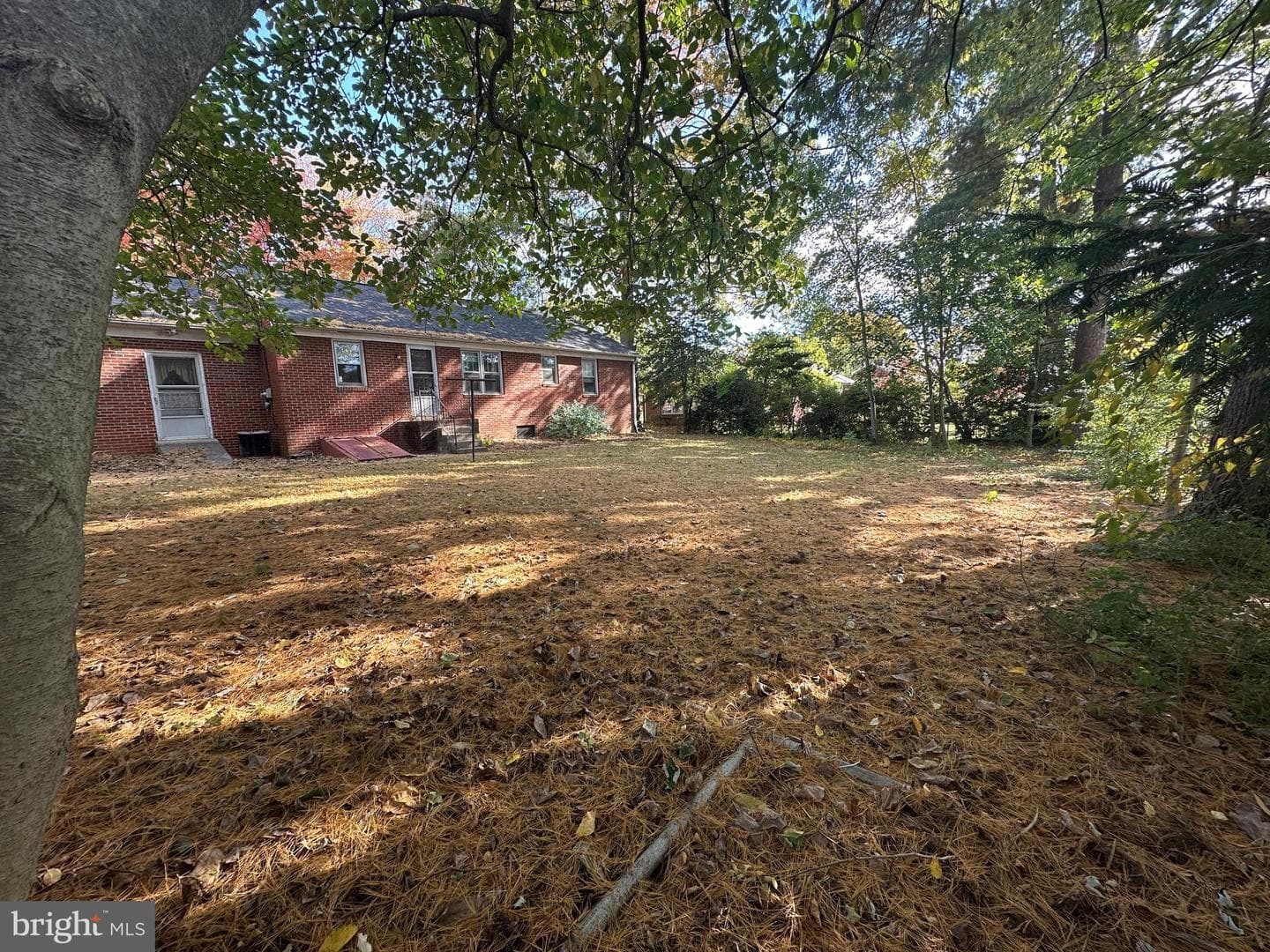 10 Linden Boulevard photo 21