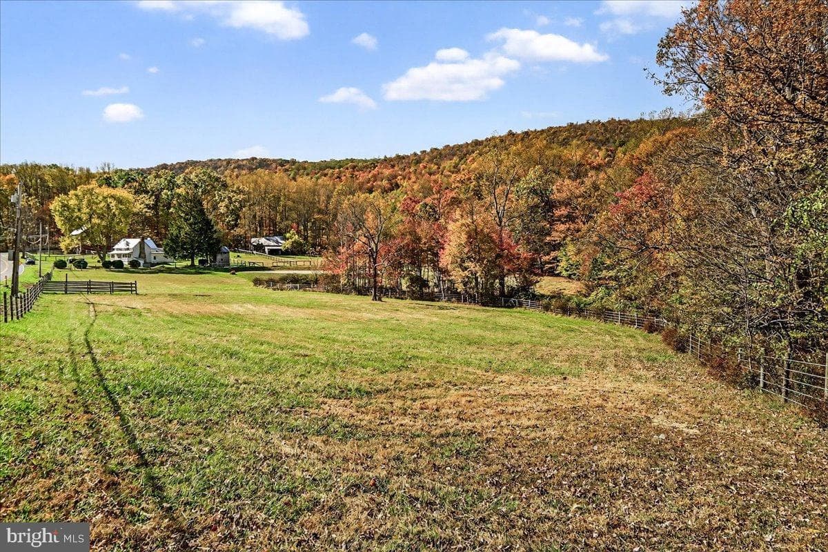 11804 Pleasant Walk Road photo 43