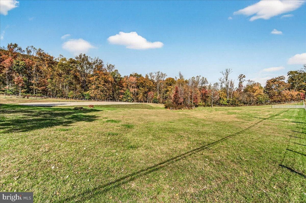 11804 Pleasant Walk Road photo 44