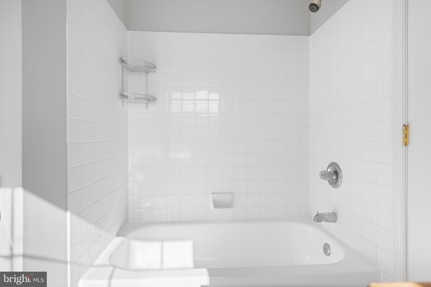 511 Ellison Court photo 48