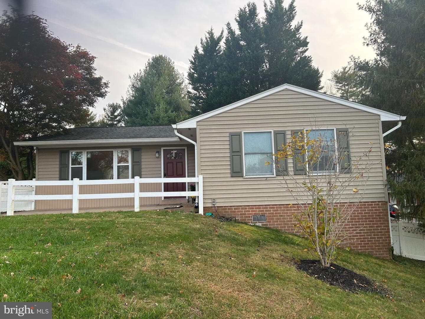3010 White Pine Drive photo 2