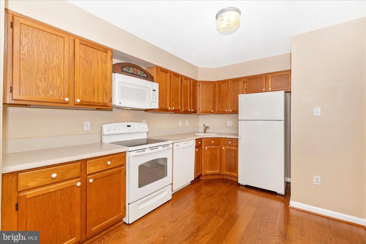 6905 Chokeberry Court photo 16