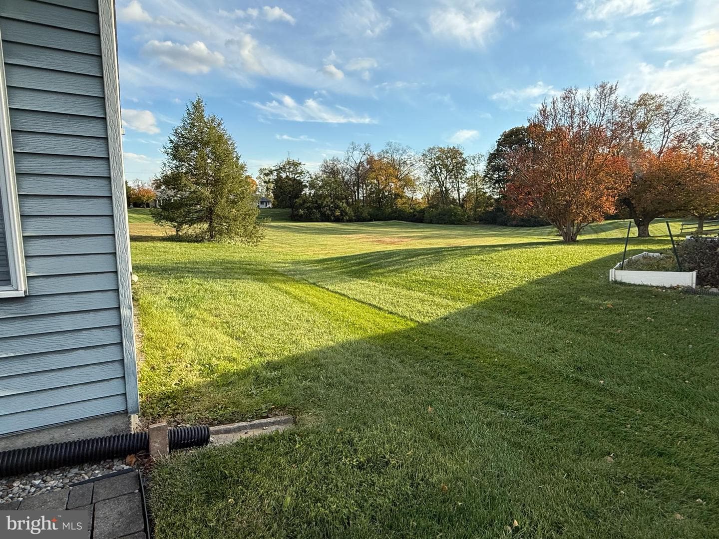 6905 Chokeberry Court photo 41
