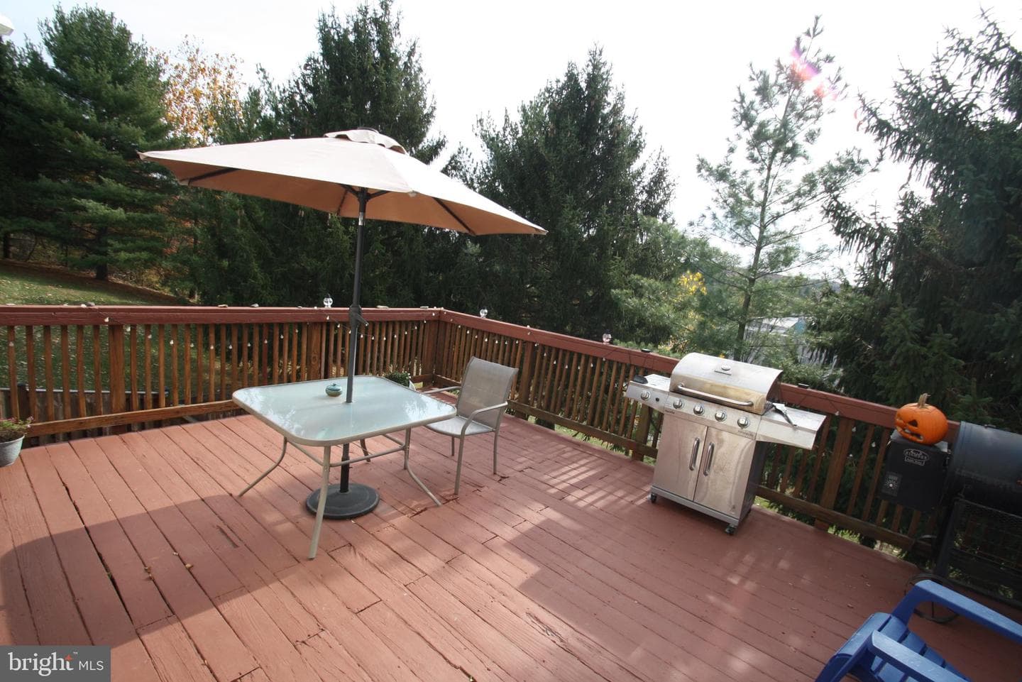 9113 Ridgefield Lane photo 26