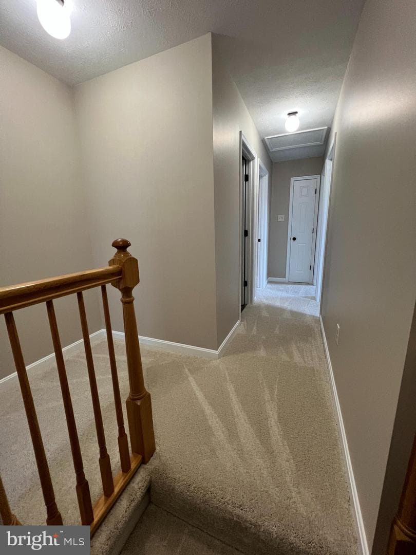 11128 Worchester Drive photo 7