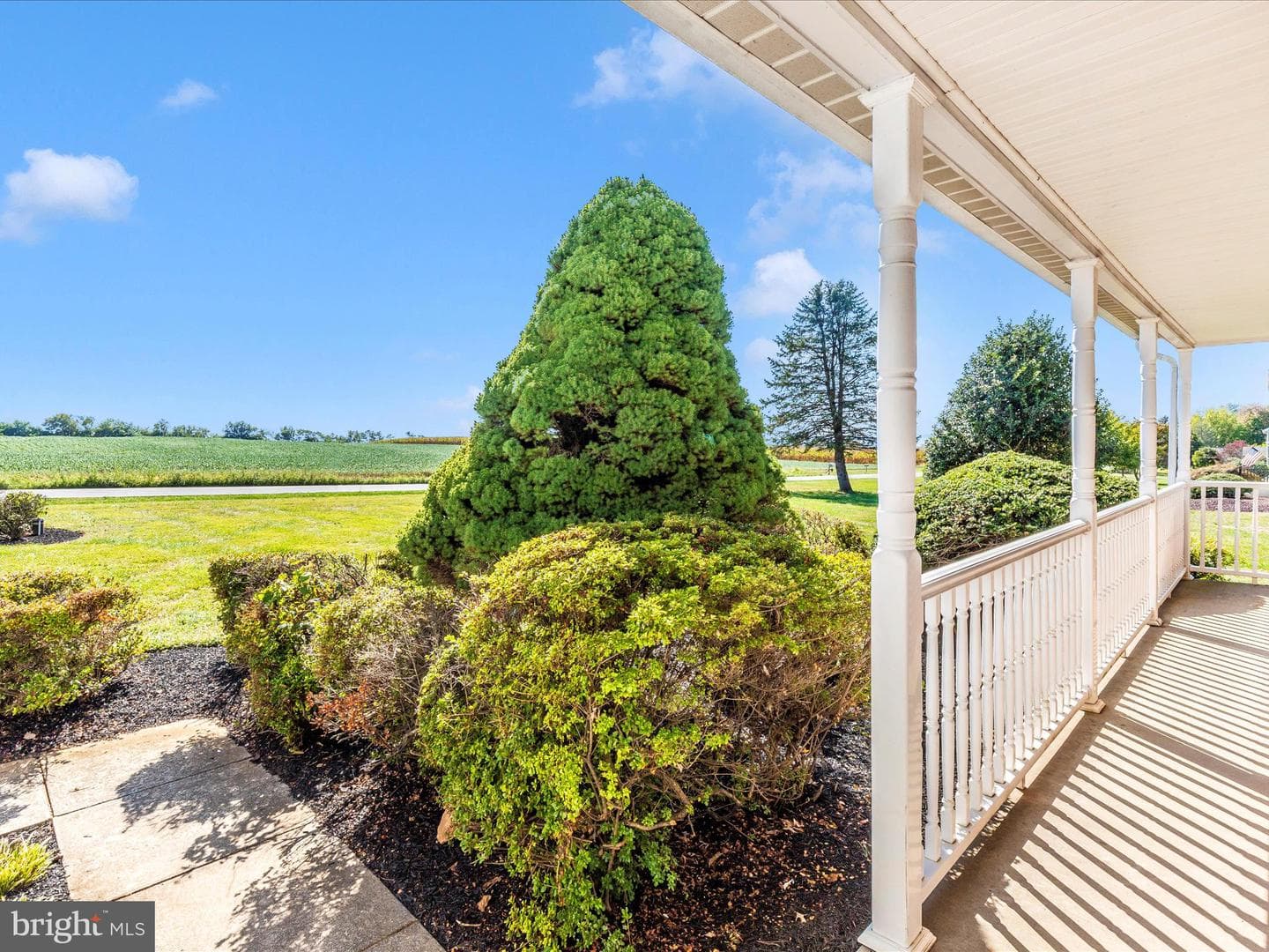 3948 Cherry Lane photo 44