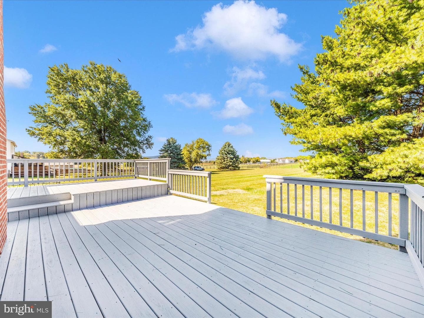 3948 Cherry Lane photo 46