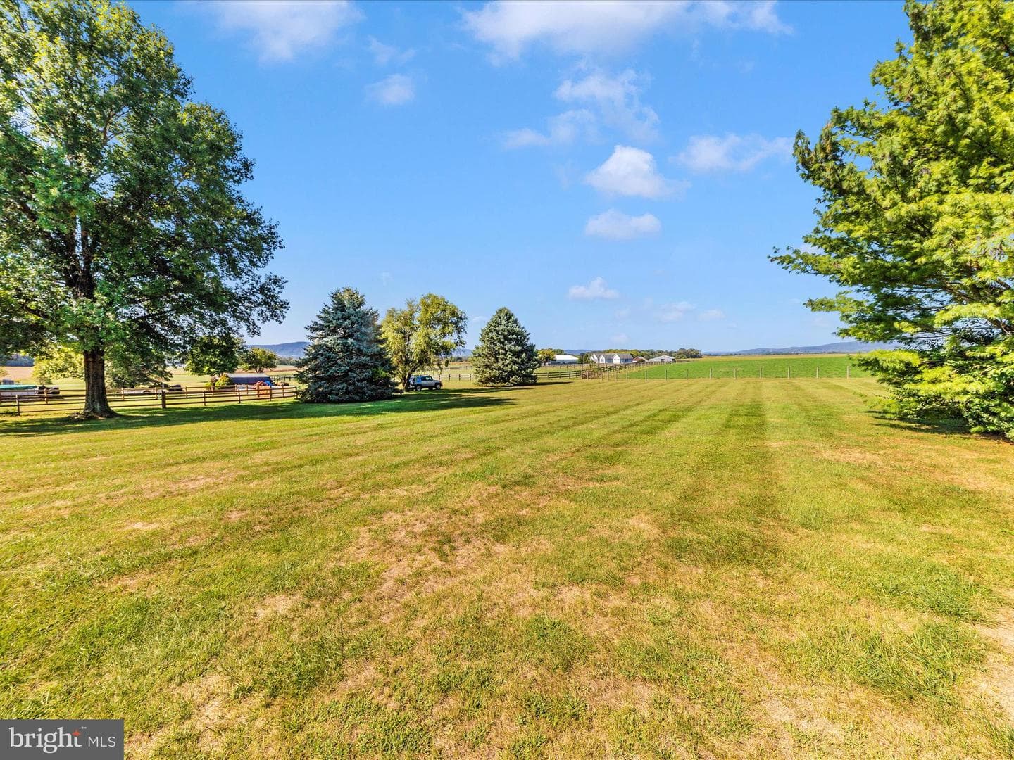 3948 Cherry Lane photo 50