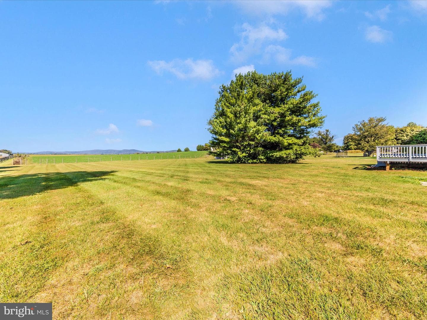 3948 Cherry Lane photo 52