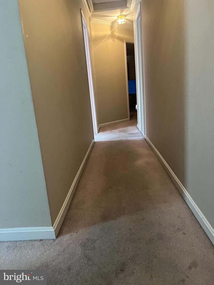 6107 Spring Meadow Lane photo 5