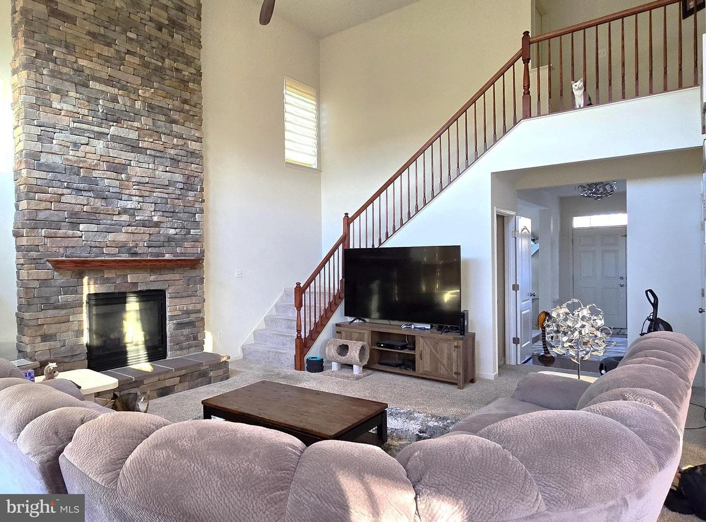 1900 Crestone Drive photo 22