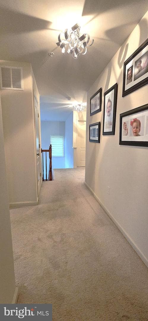 1900 Crestone Drive photo 49