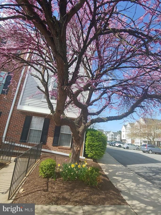 607 Himes Avenue #102 photo 26