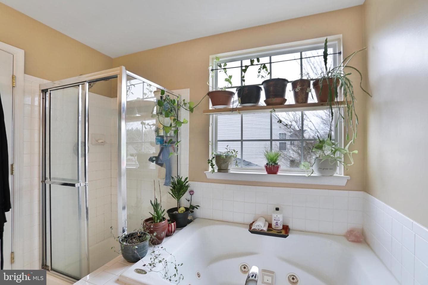 97 Webb Court photo 24