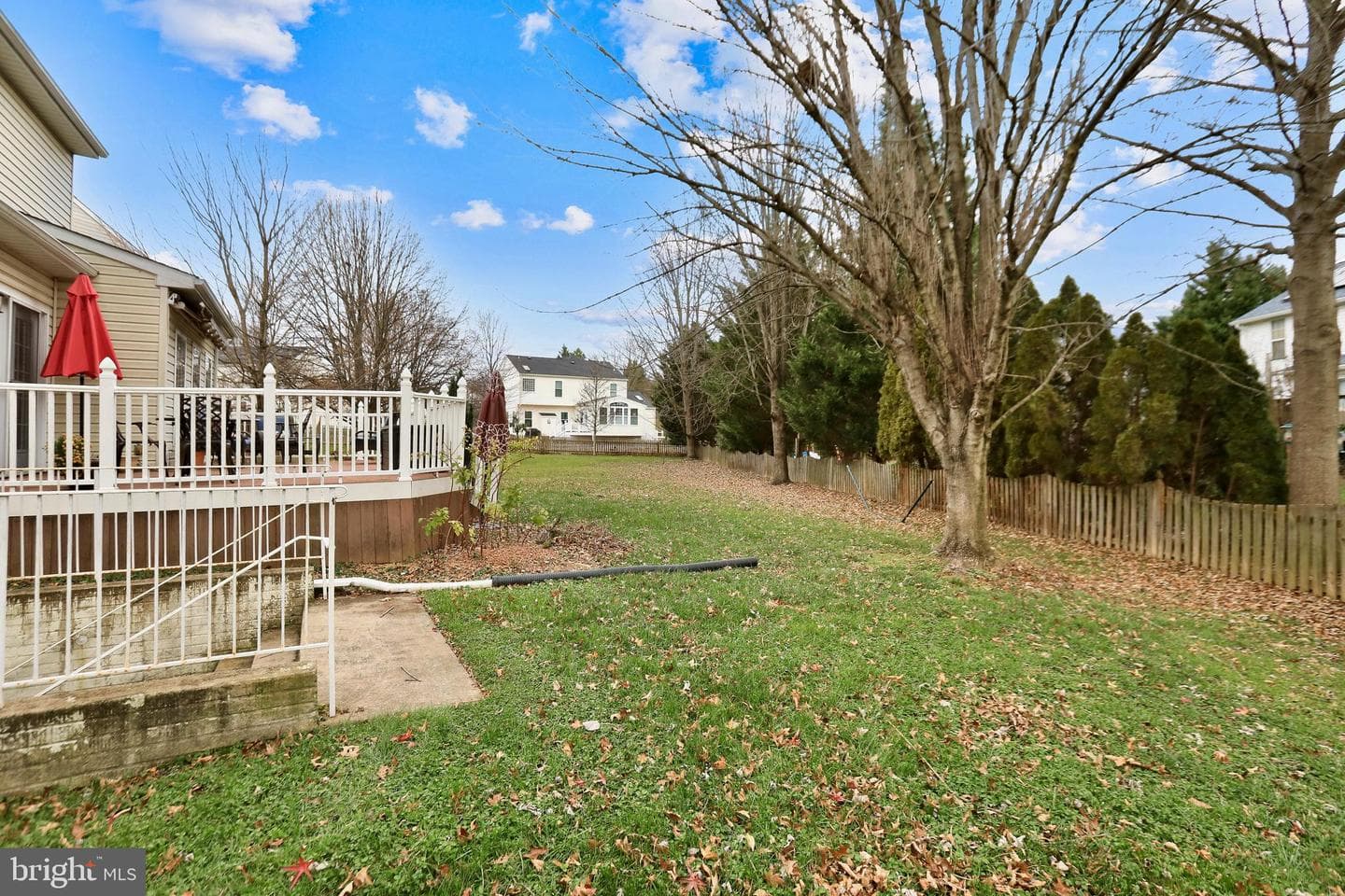 97 Webb Court photo 34