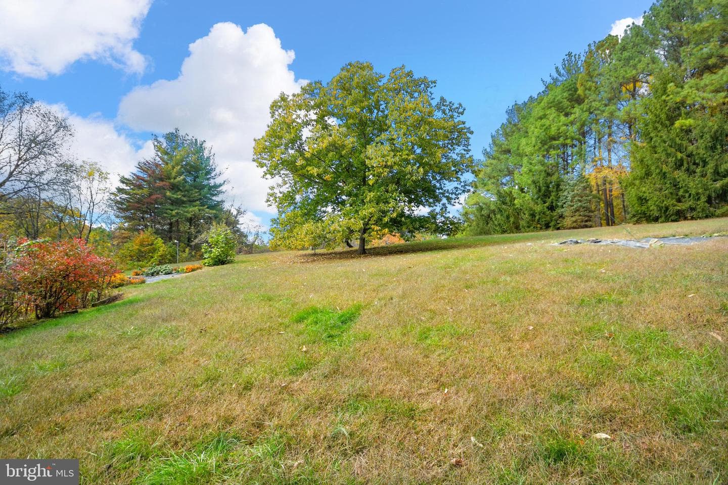 7144 Ira Sears Road photo 135