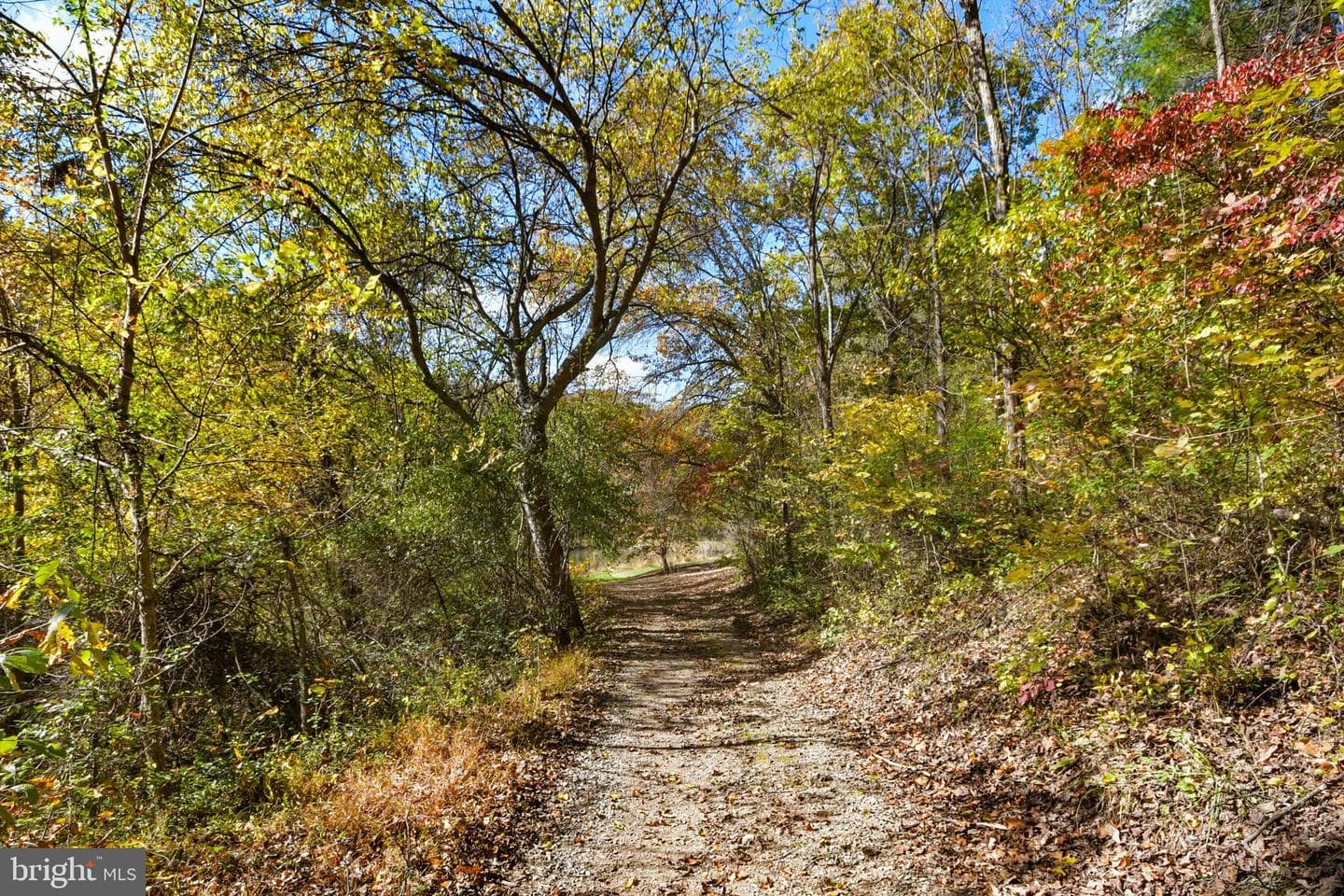7144 Ira Sears Road photo 146